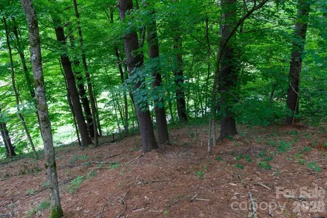 Tbd Sycamore Road Vilas NC 28692