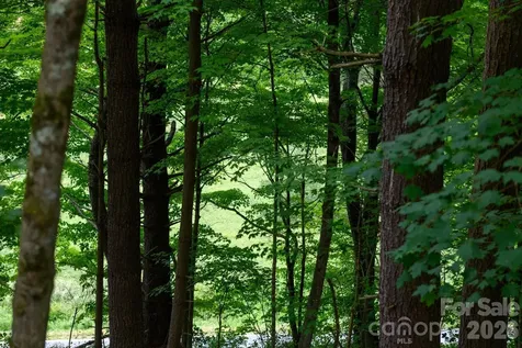 Tbd Sycamore Road Vilas NC 28692