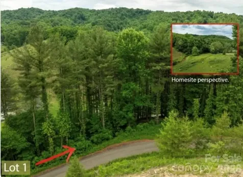 Tbd Sycamore Road Vilas NC 28692