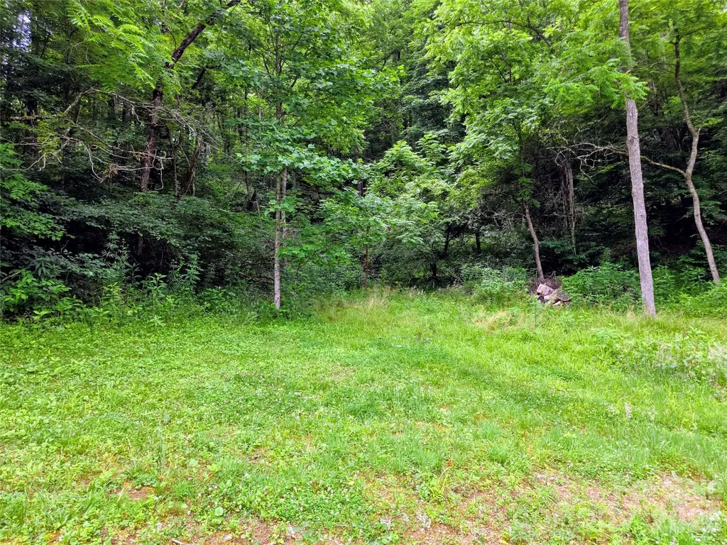 30 Evergreen Road Burnsville NC 28714