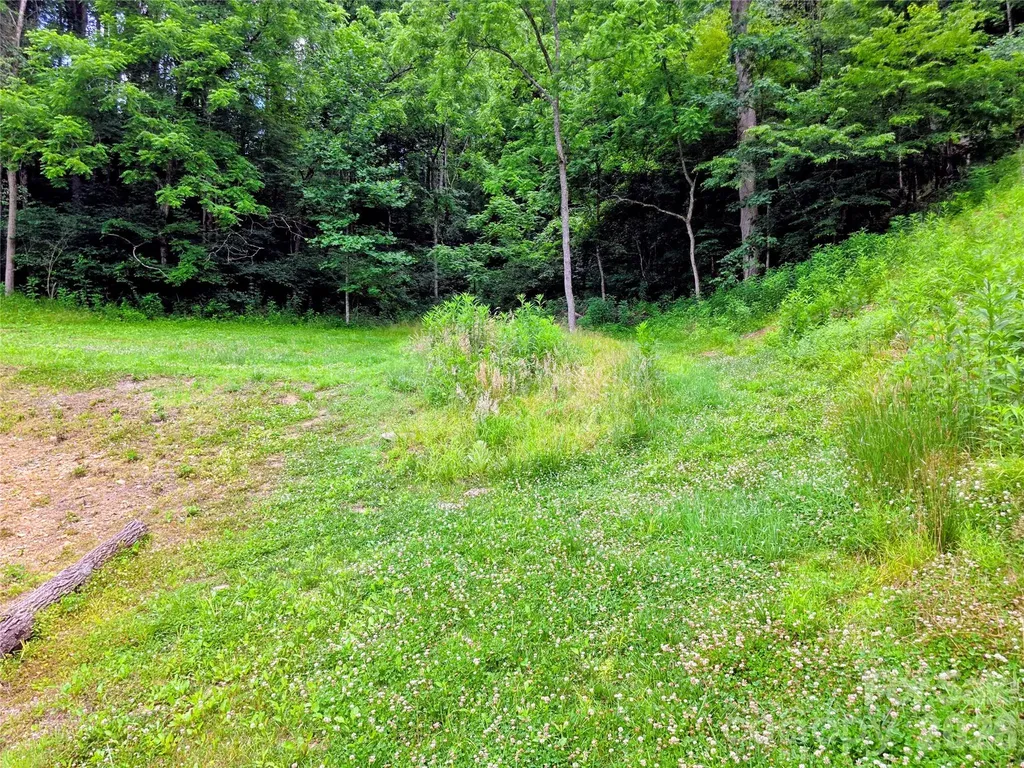 30 Evergreen Road Burnsville NC 28714