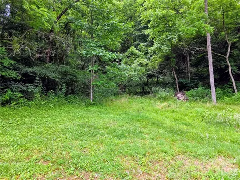 30 Evergreen Road Burnsville NC 28714