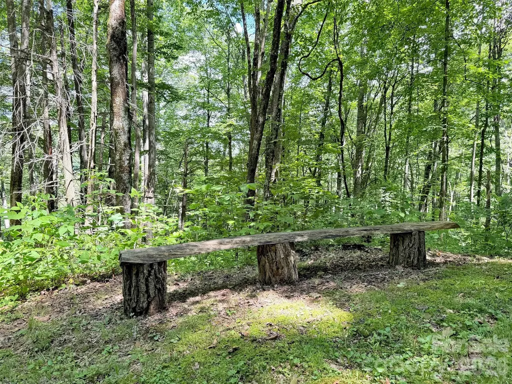 85 Lady Slipper Trail Hot Springs NC 28743