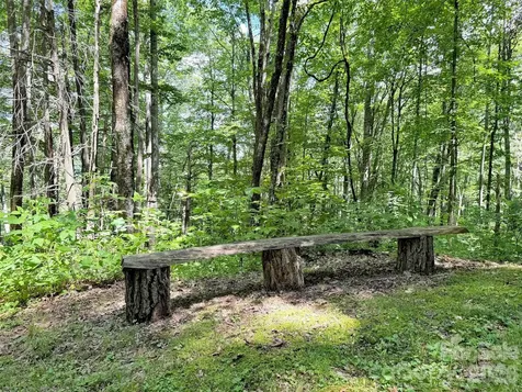 85 Lady Slipper Trail Hot Springs NC 28743