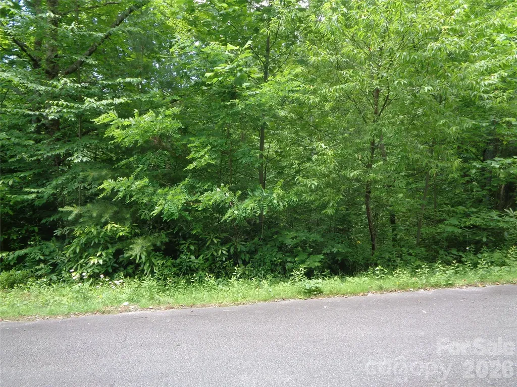 Lot 6 Peaks Creek Trail Maggie Valley NC 28751