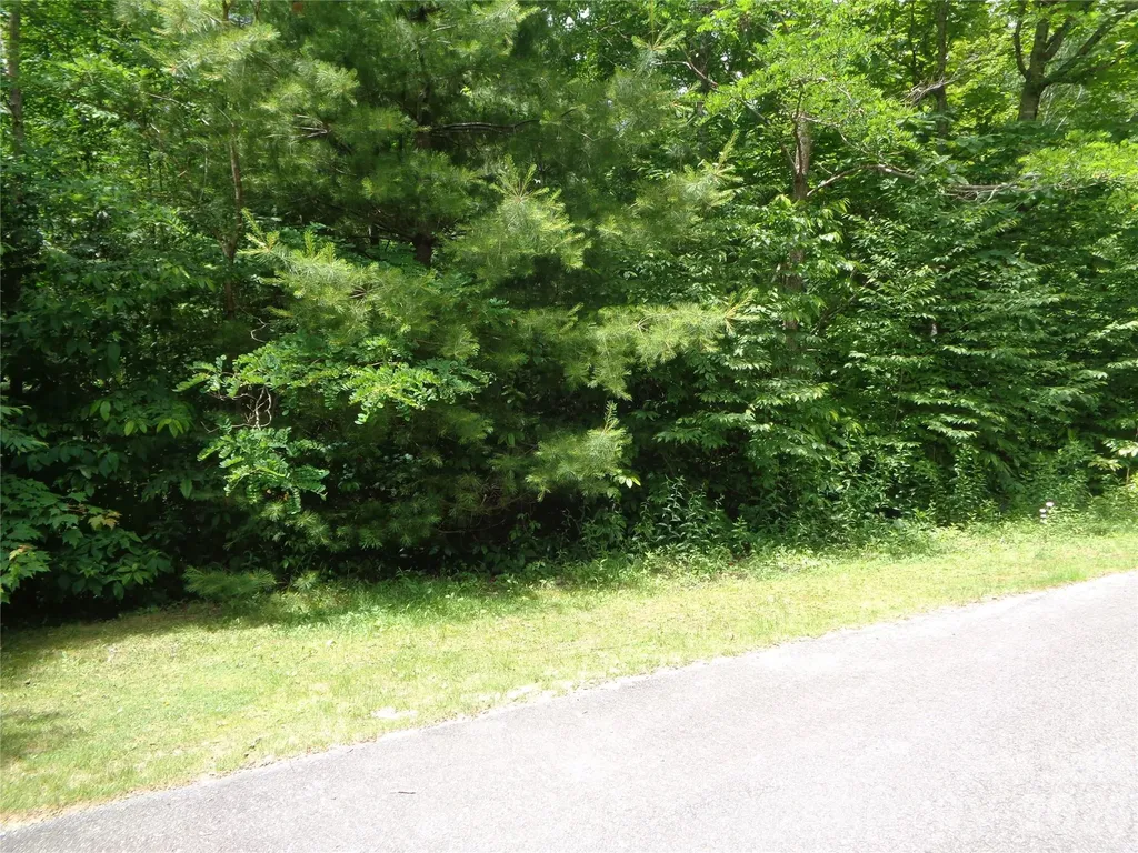 Lot 6 Peaks Creek Trail Maggie Valley NC 28751