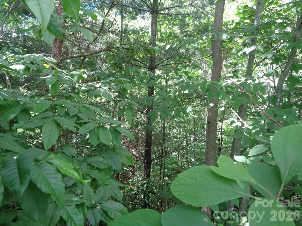 Lot 6 Peaks Creek Trail Maggie Valley NC 28751