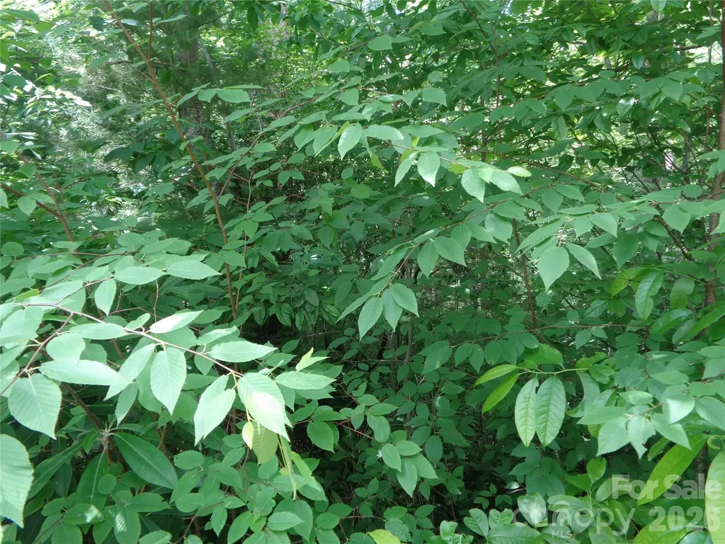 Lot 6 Peaks Creek Trail Maggie Valley NC 28751