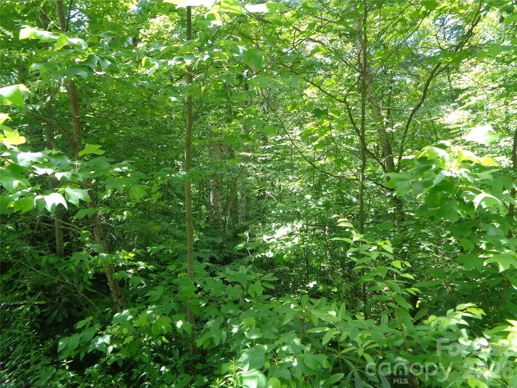Lot 6 Peaks Creek Trail Maggie Valley NC 28751