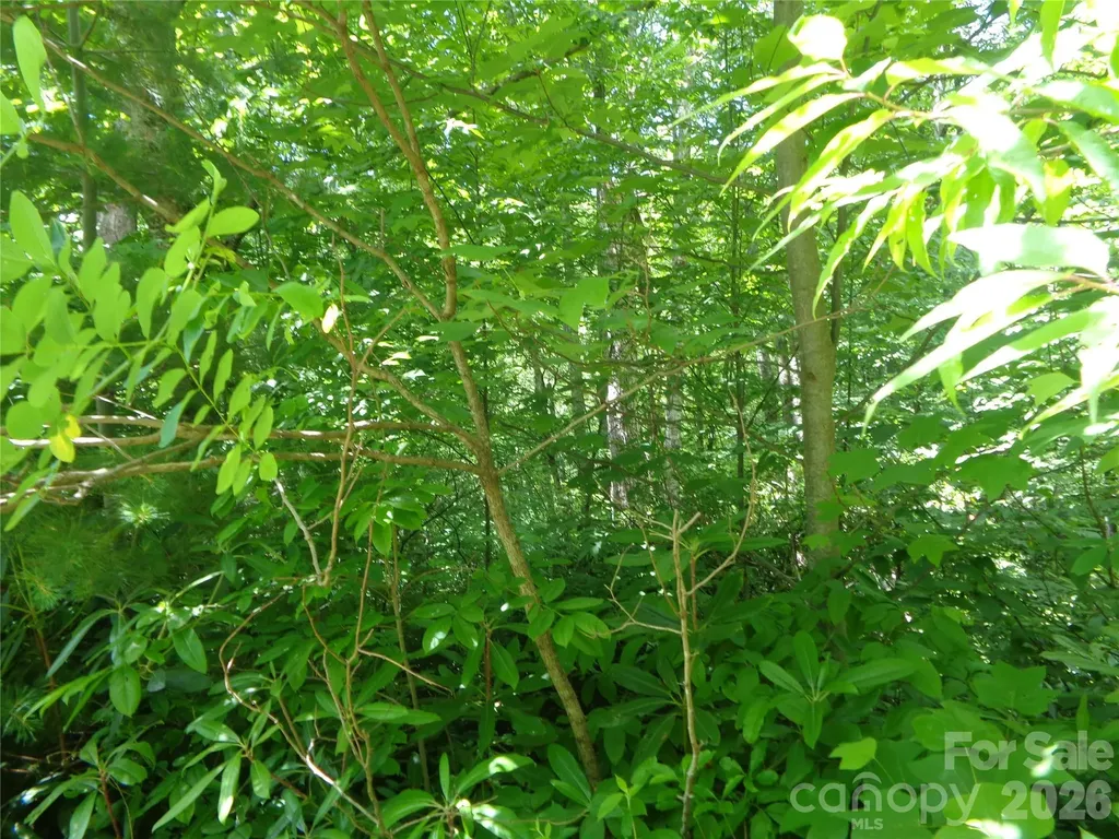 Lot 6 Peaks Creek Trail Maggie Valley NC 28751
