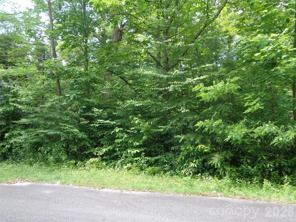 Lot 6 Peaks Creek Trail Maggie Valley NC 28751