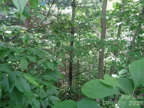 Lot 6 Peaks Creek Trail Maggie Valley NC 28751
