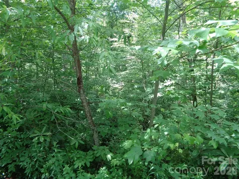 Lot 6 Peaks Creek Trail Maggie Valley NC 28751