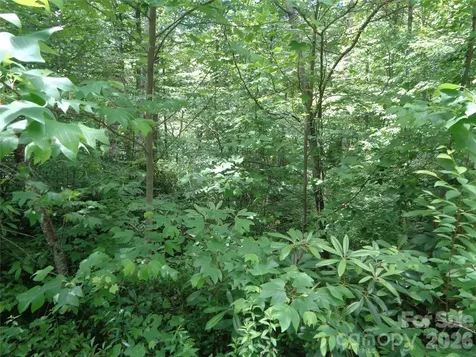 Lot 6 Peaks Creek Trail Maggie Valley NC 28751