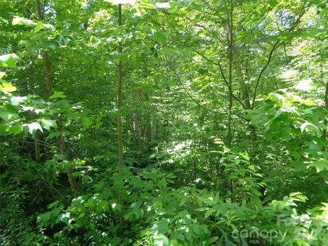 Lot 6 Peaks Creek Trail Maggie Valley NC 28751