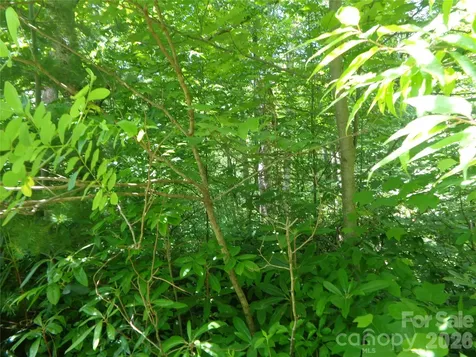 Lot 6 Peaks Creek Trail Maggie Valley NC 28751