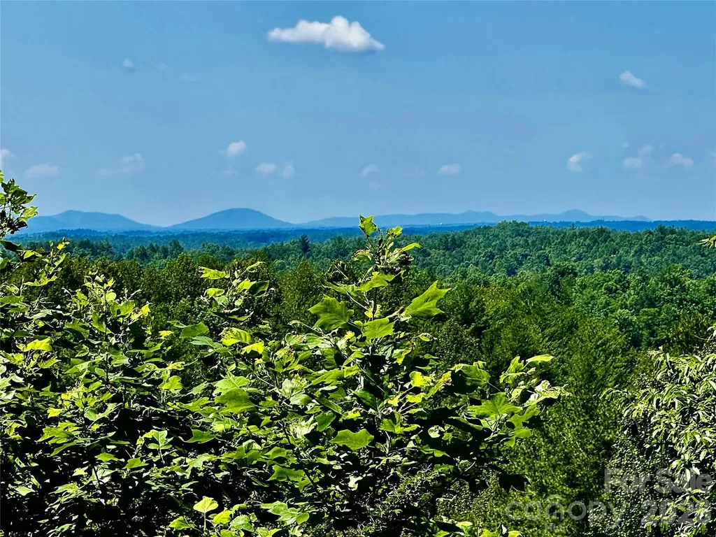 10 Acres, Lot 528, Scenic Vista Trail Lenoir NC 28645