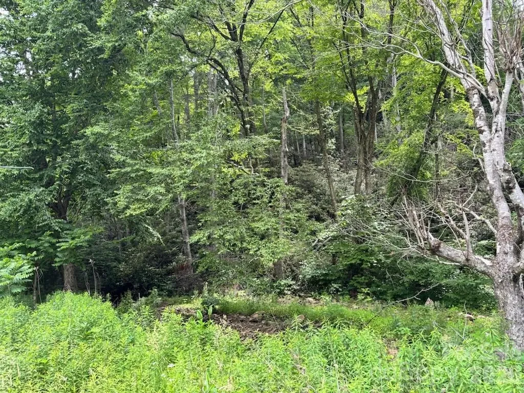 1771 Hughes Gap Road Bakersville NC 28705