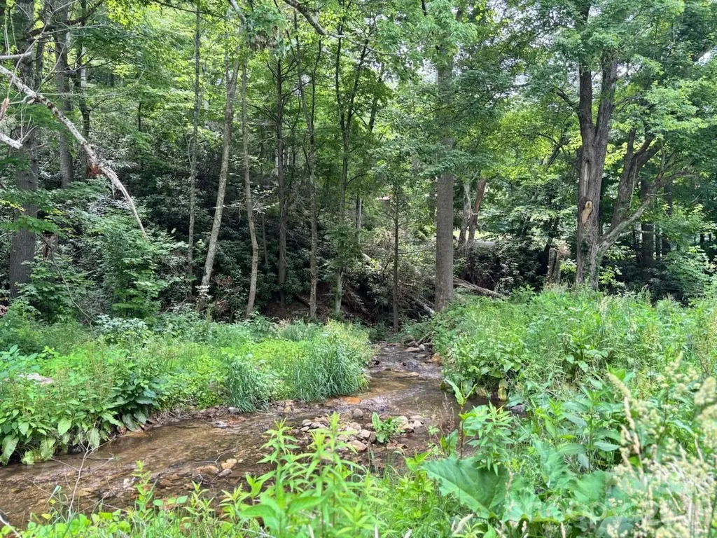 1771 Hughes Gap Road Bakersville NC 28705