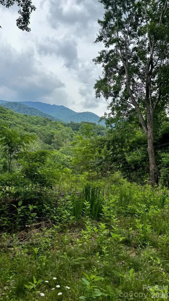 1771 Hughes Gap Road Bakersville NC 28705