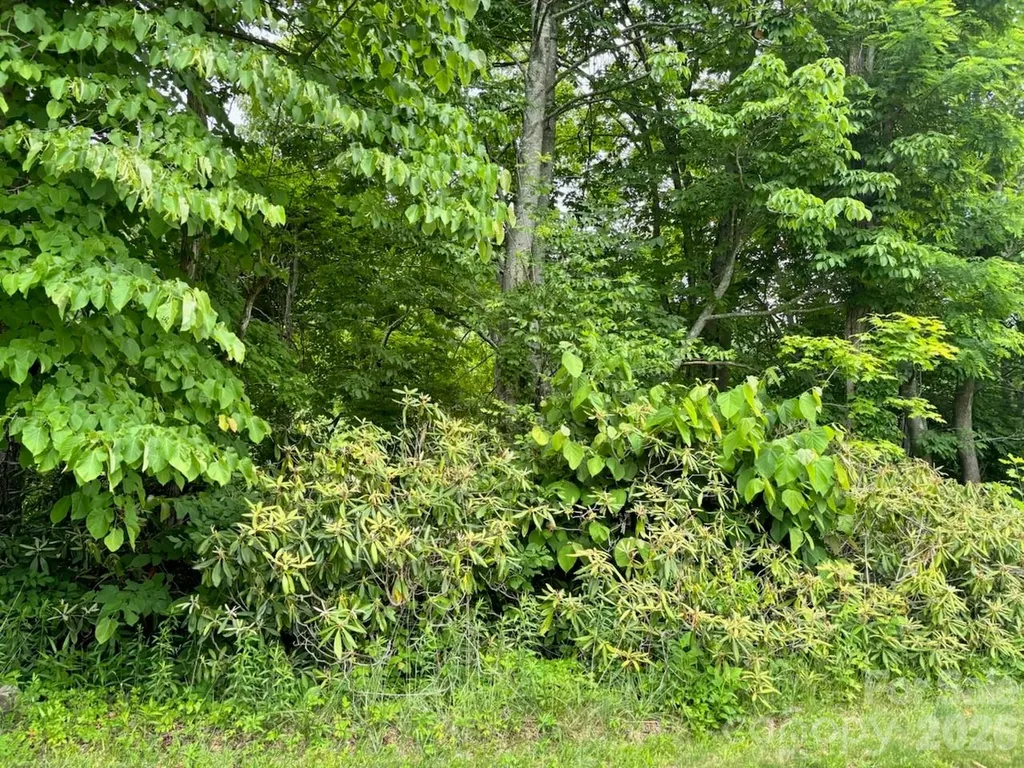 1771 Hughes Gap Road Bakersville NC 28705