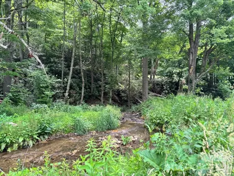 1771 Hughes Gap Road Bakersville NC 28705