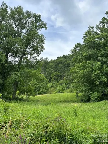 1771 Hughes Gap Road Bakersville NC 28705