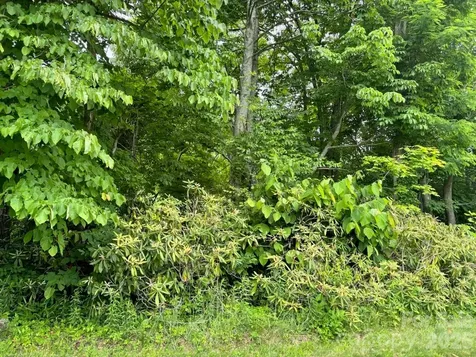 1771 Hughes Gap Road Bakersville NC 28705