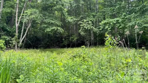 1771 Hughes Gap Road Bakersville NC 28705