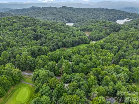 558 Middle Connestee Trail Brevard NC 28712