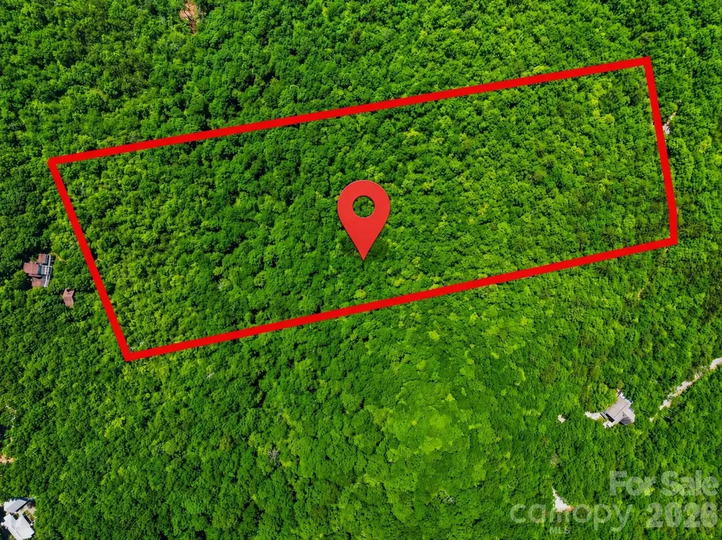 999 Miller Cove Road Black Mountain NC 28711