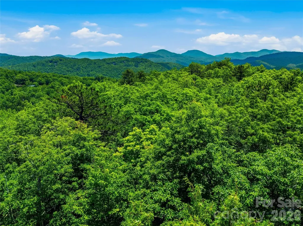 999 Miller Cove Road Black Mountain NC 28711