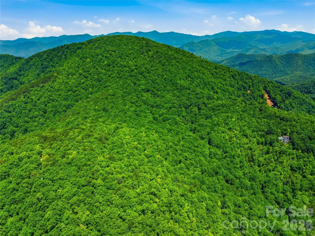 999 Miller Cove Road Black Mountain NC 28711