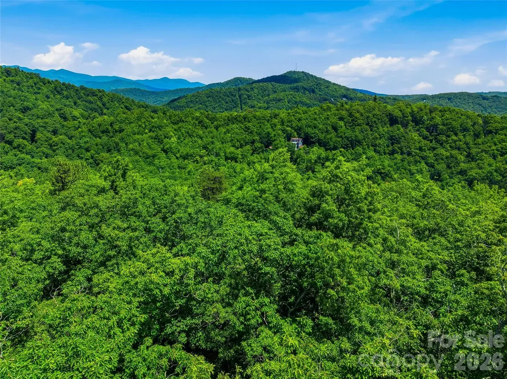 999 Miller Cove Road Black Mountain NC 28711