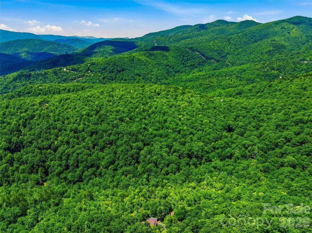 999 Miller Cove Road Black Mountain NC 28711