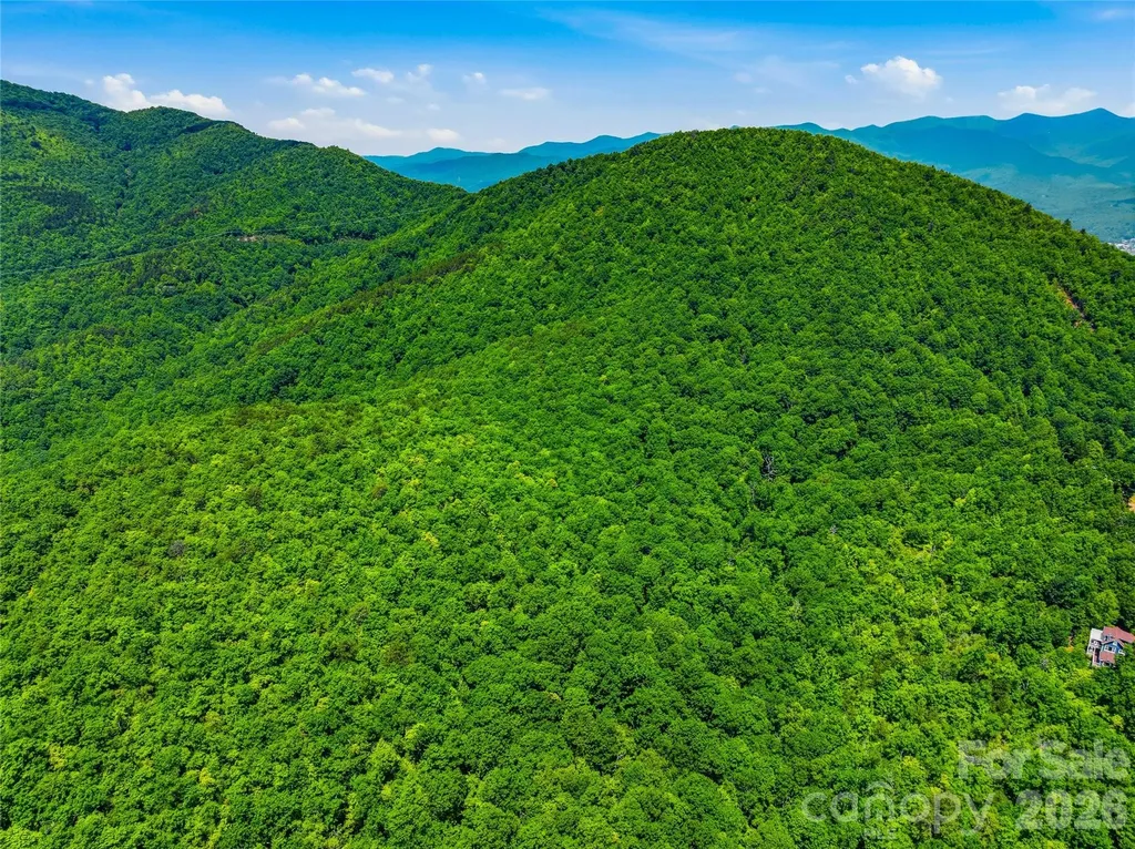 999 Miller Cove Road Black Mountain NC 28711