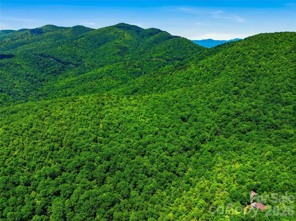 999 Miller Cove Road Black Mountain NC 28711