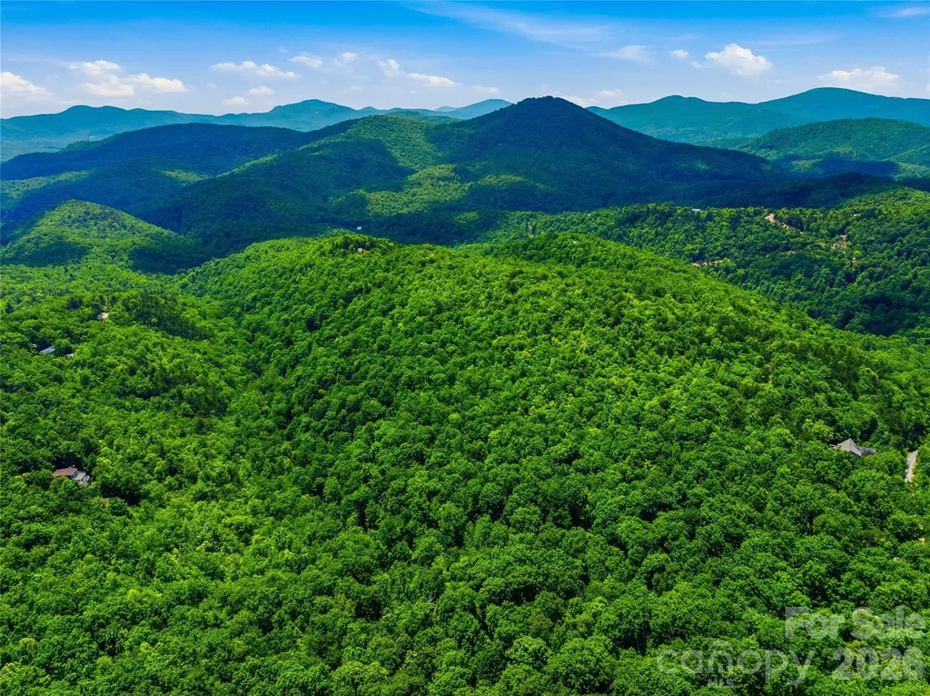 999 Miller Cove Road Black Mountain NC 28711