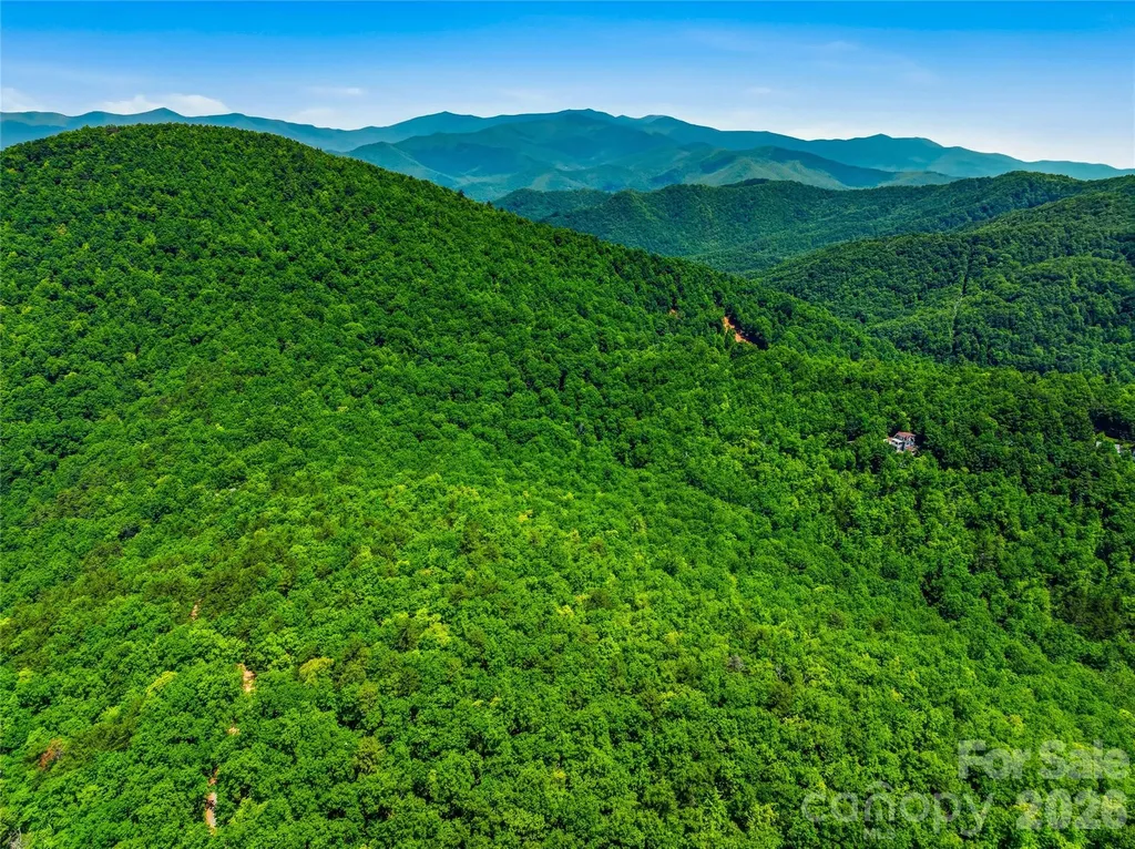 999 Miller Cove Road Black Mountain NC 28711