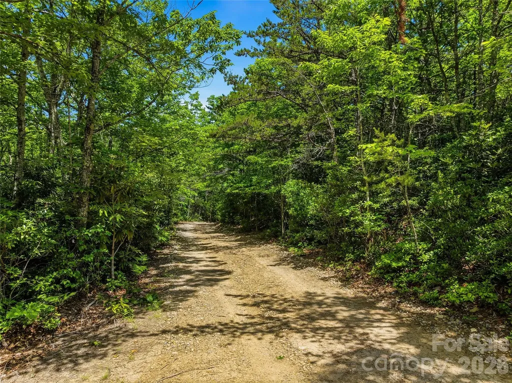 999 Miller Cove Road Black Mountain NC 28711