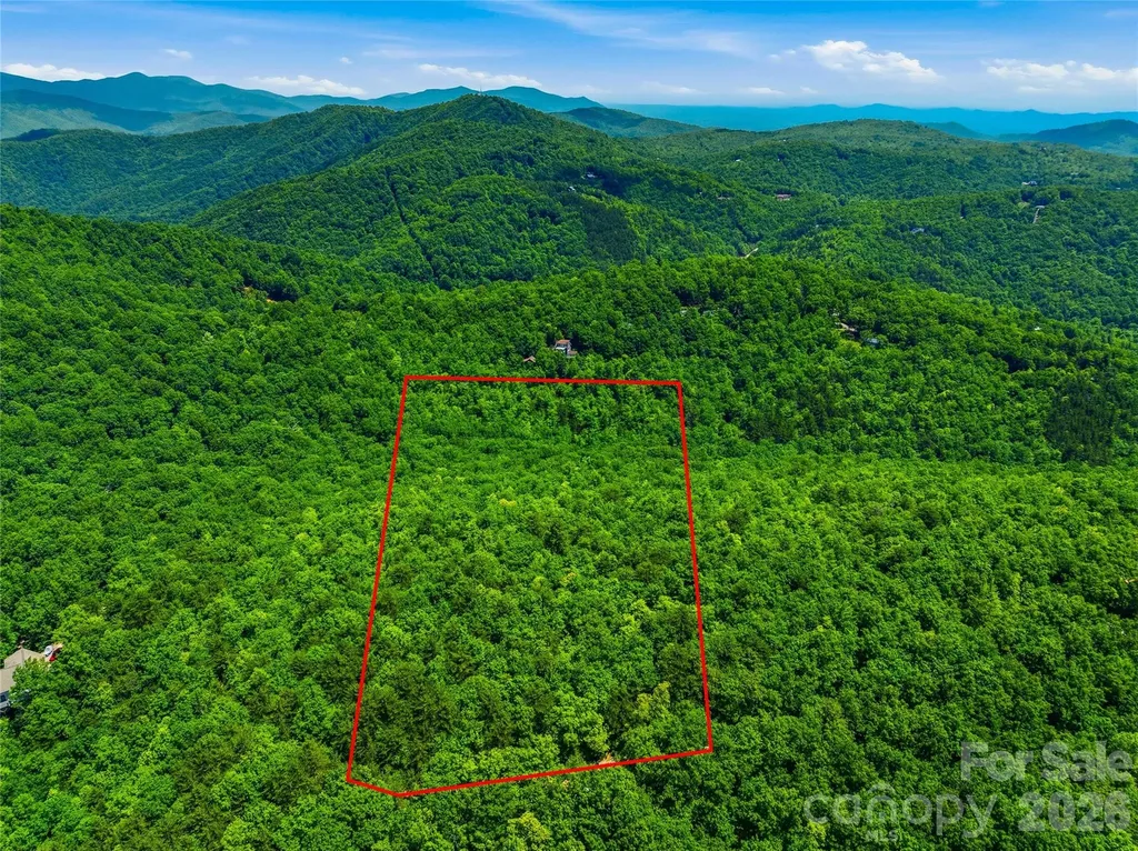 999 Miller Cove Road Black Mountain NC 28711
