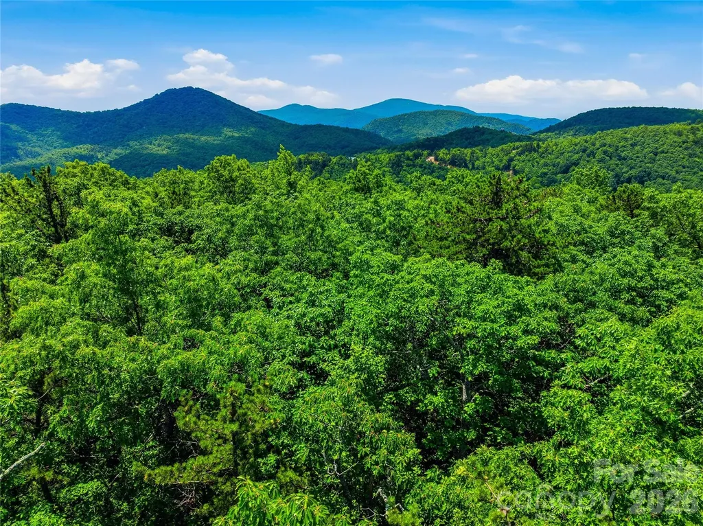 999 Miller Cove Road Black Mountain NC 28711