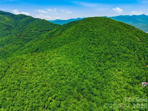 999 Miller Cove Road Black Mountain NC 28711