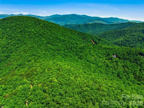 999 Miller Cove Road Black Mountain NC 28711