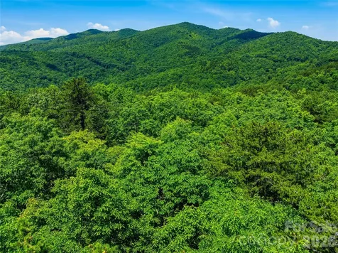 999 Miller Cove Road Black Mountain NC 28711