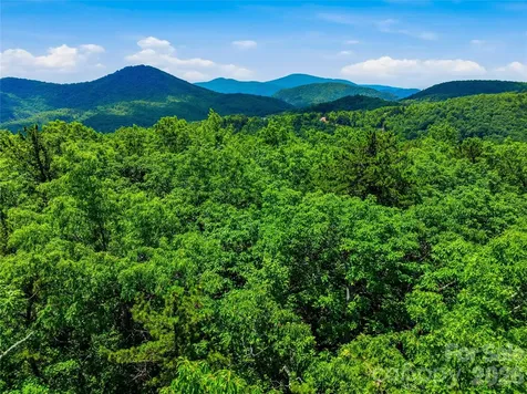 999 Miller Cove Road Black Mountain NC 28711