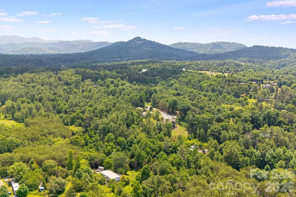 43 Chadwick Wade Drive Asheville NC 28804
