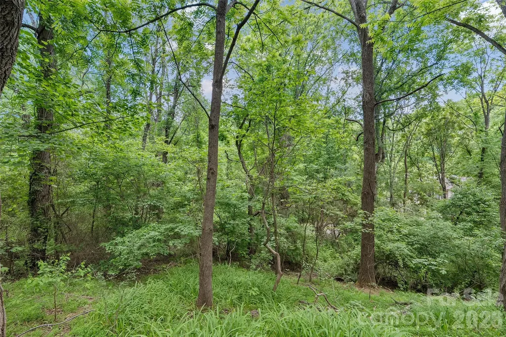 00000 Timberwood Drive Asheville NC 28806