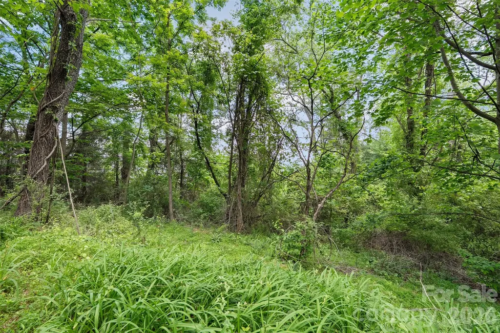 00000 Timberwood Drive Asheville NC 28806