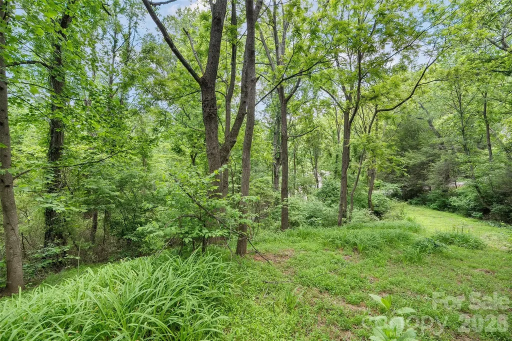 00000 Timberwood Drive Asheville NC 28806